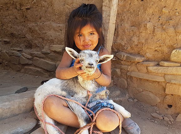 Photo of a little girl holding a goat