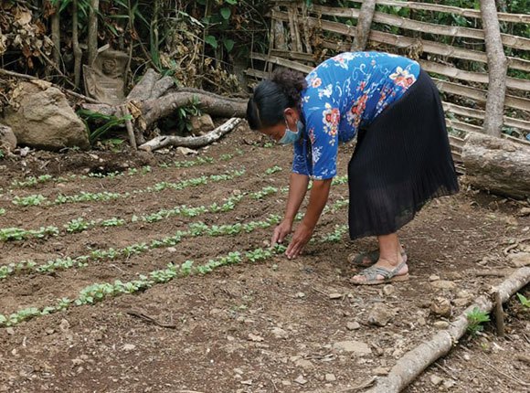 Photo of a woman tending to her crops