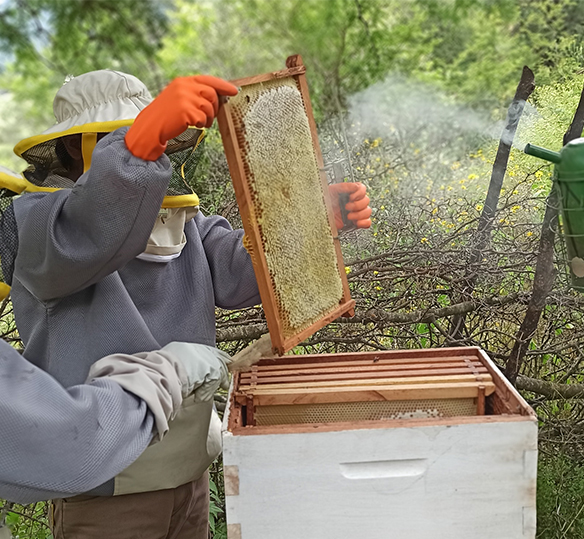 Photo of beekeepers