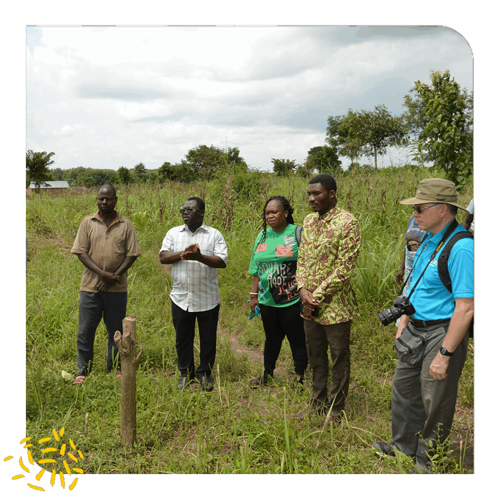 Five people stand in a grassy area
